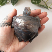 Load image into Gallery viewer, Sea Jasper Sea Turtle A
