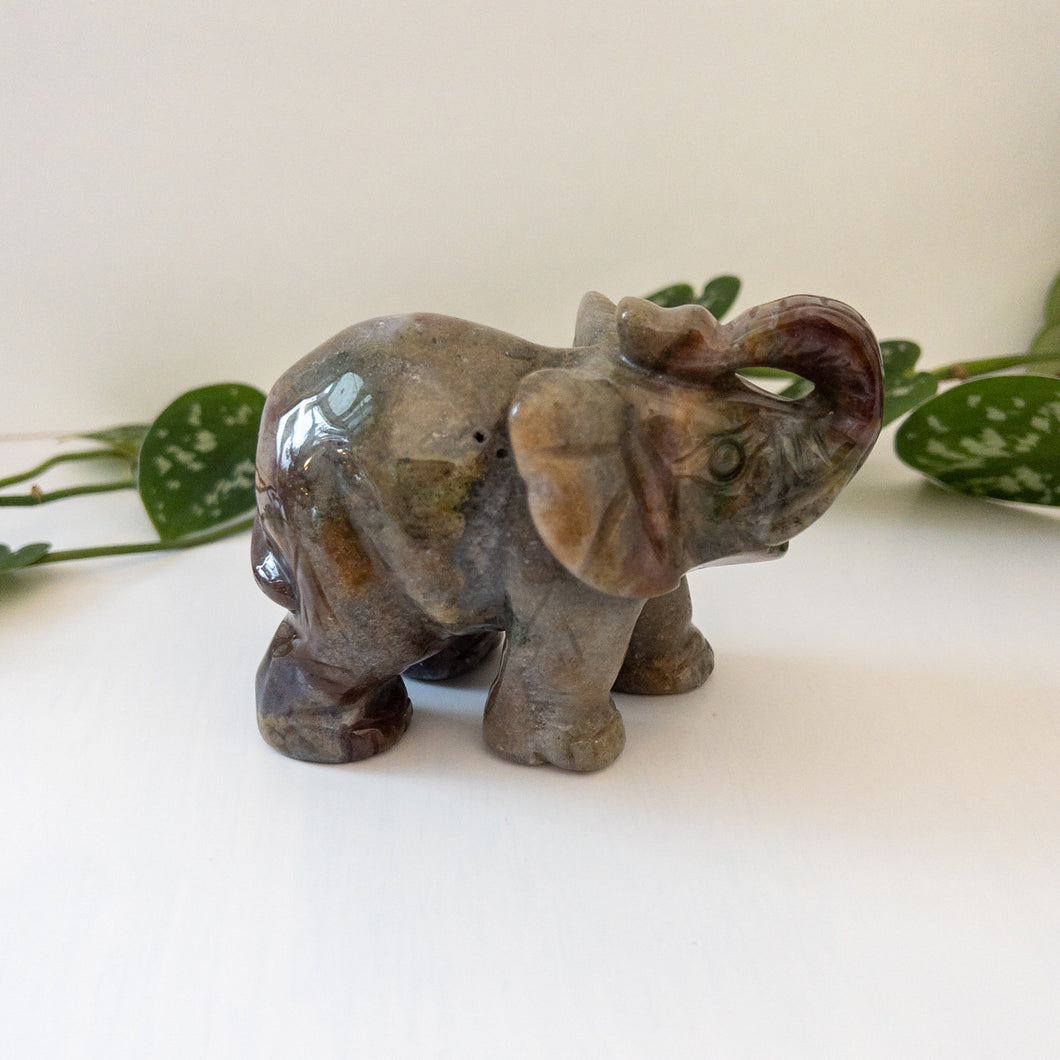 Sea Jasper Elephant A