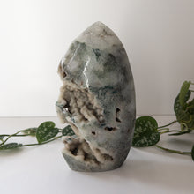 Load image into Gallery viewer, XL Moss Agate Freeform
