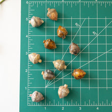 Load image into Gallery viewer, Mini Crazy Lace Agate Acorn
