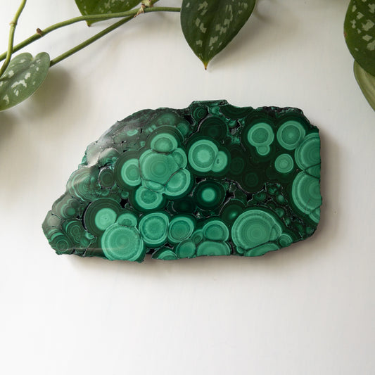 Malachite Slab (B)