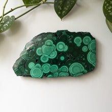 Load image into Gallery viewer, Malachite Slab (B)
