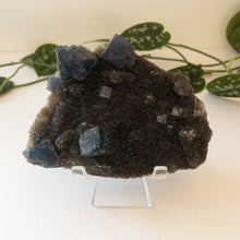 Charger l&#39;image dans la galerie, Blue Cubic Fluorite &amp; Druzy Black Chalcedony - Fujian Province, China
