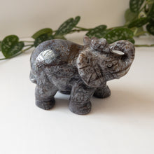 Load image into Gallery viewer, Colorful Moss Agate Elephant B
