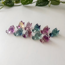 Load image into Gallery viewer, Mini Fluorite Dragon Heads
