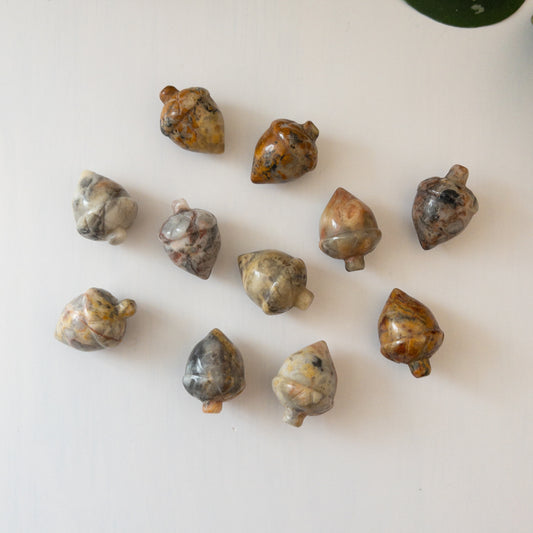 Mini Crazy Lace Agate Acorn