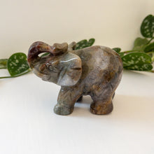 Charger l&#39;image dans la galerie, Sea Jasper Elephant A
