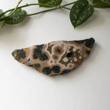 Load image into Gallery viewer, Ocean Jasper Slab (A)
