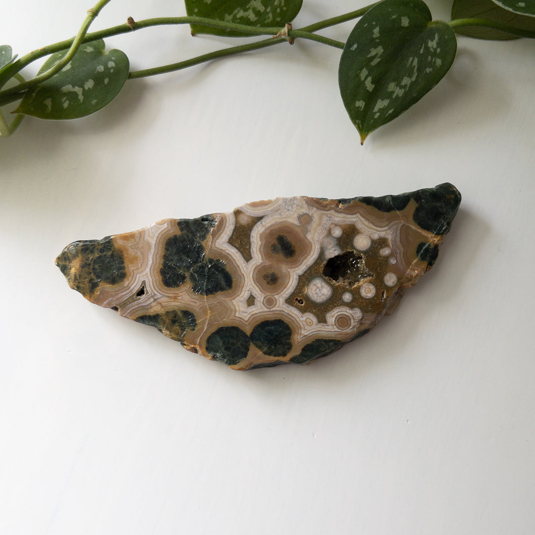 Ocean Jasper Slab (A)