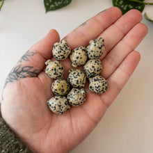 Load image into Gallery viewer, Mini Dalmatian Jasper Acorn
