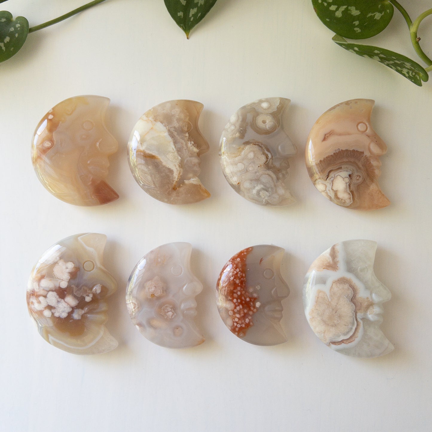 Flower Agate Moons