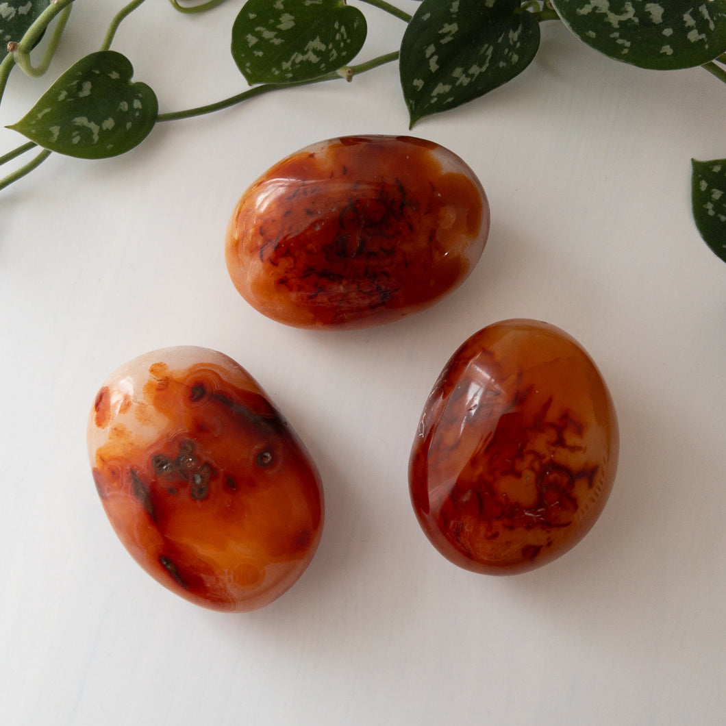 Carnelian Palmstone