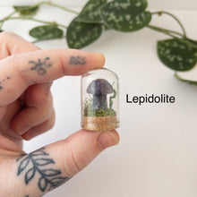 Load image into Gallery viewer, Mini Crystal Mushroom Terrarium
