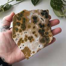 Load image into Gallery viewer, Ocean Jasper Slab (B)
