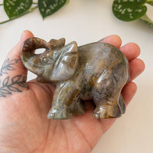 Charger l&#39;image dans la galerie, Sea Jasper Elephant A
