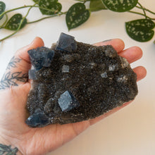 Charger l&#39;image dans la galerie, Blue Cubic Fluorite &amp; Druzy Black Chalcedony - Fujian Province, China
