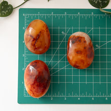 Load image into Gallery viewer, Carnelian Palmstone
