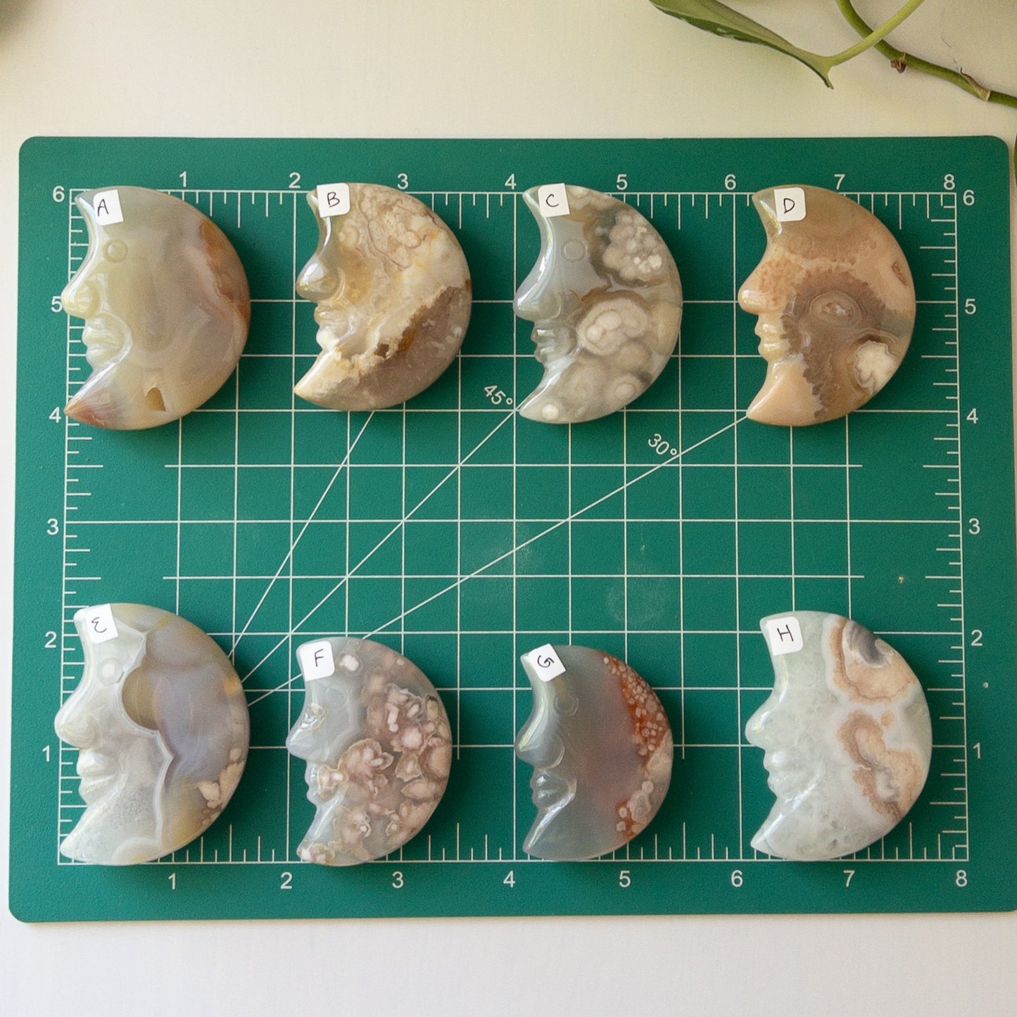 Flower Agate Moons