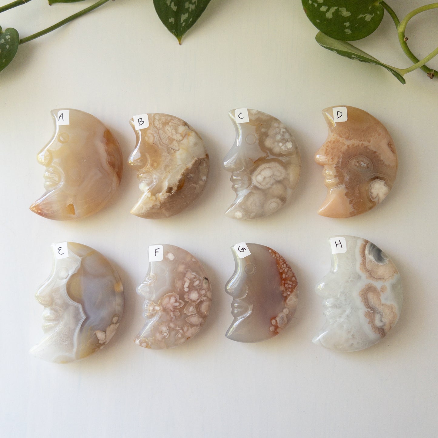 Flower Agate Moons