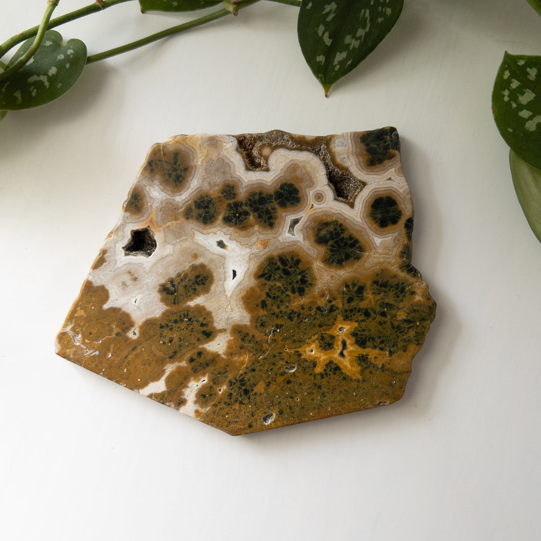 Ocean Jasper Slab (B)