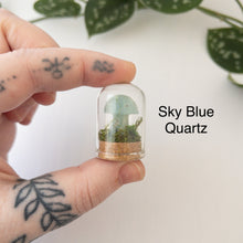 Load image into Gallery viewer, Mini Crystal Mushroom Terrarium
