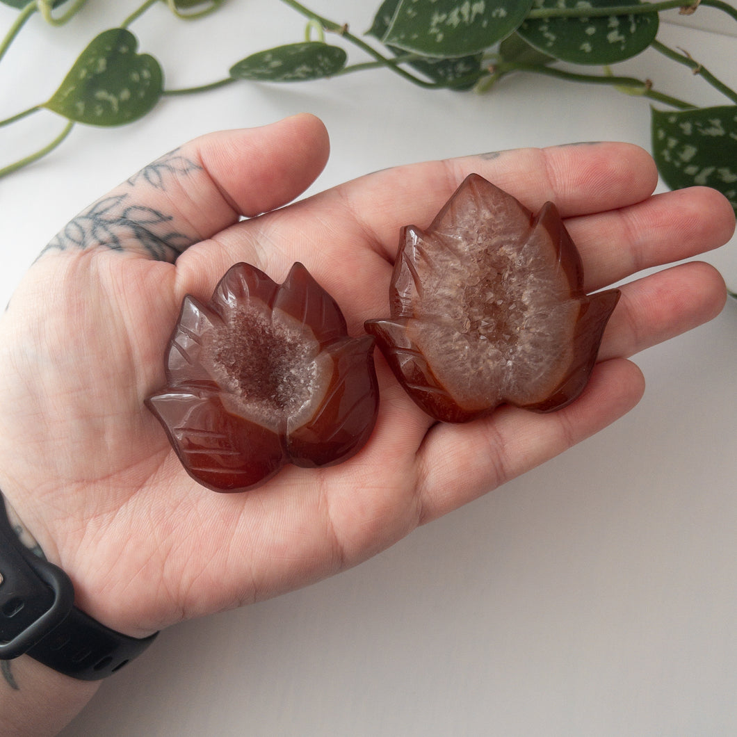 Druzy Carnelian Leaf