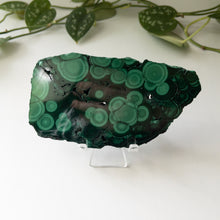 Load image into Gallery viewer, Malachite Slab (B)
