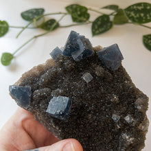 Charger l&#39;image dans la galerie, Blue Cubic Fluorite &amp; Druzy Black Chalcedony - Fujian Province, China
