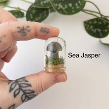 Load image into Gallery viewer, Mini Crystal Mushroom Terrarium
