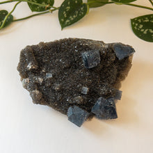 Charger l&#39;image dans la galerie, Blue Cubic Fluorite &amp; Druzy Black Chalcedony - Fujian Province, China
