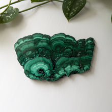 Load image into Gallery viewer, Malachite Slab (A)
