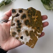 Load image into Gallery viewer, Ocean Jasper Slab (B)
