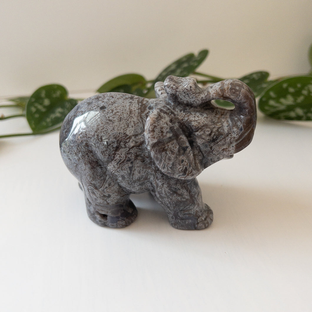 Colorful Moss Agate Elephant A