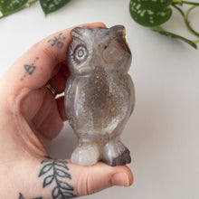 Load image into Gallery viewer, Druzy Agate &amp; Quartz Owl
