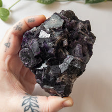 Load image into Gallery viewer, Purple Cubic Fluorite Specimen - Muzquiz, Mexico
