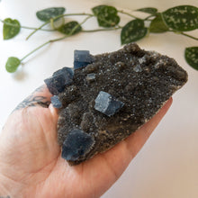 Charger l&#39;image dans la galerie, Blue Cubic Fluorite &amp; Druzy Black Chalcedony - Fujian Province, China
