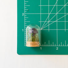 Load image into Gallery viewer, Mini Crystal Mushroom Terrarium
