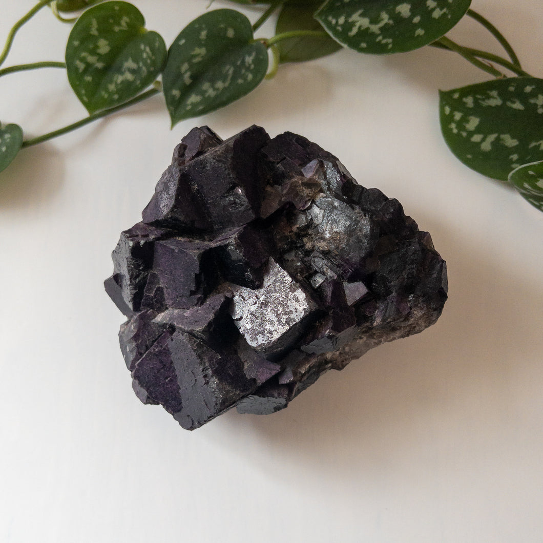 Purple Cubic Fluorite Specimen - Muzquiz, Mexico