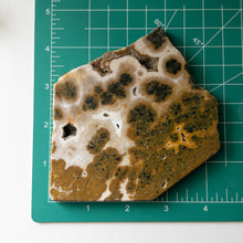 Load image into Gallery viewer, Ocean Jasper Slab (B)
