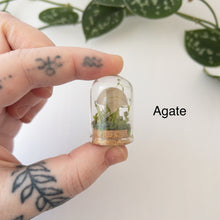 Load image into Gallery viewer, Mini Crystal Mushroom Terrarium
