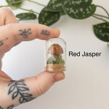 Load image into Gallery viewer, Mini Crystal Mushroom Terrarium
