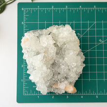 Load image into Gallery viewer, Large Apophyllite &amp; Stilbite Specimen
