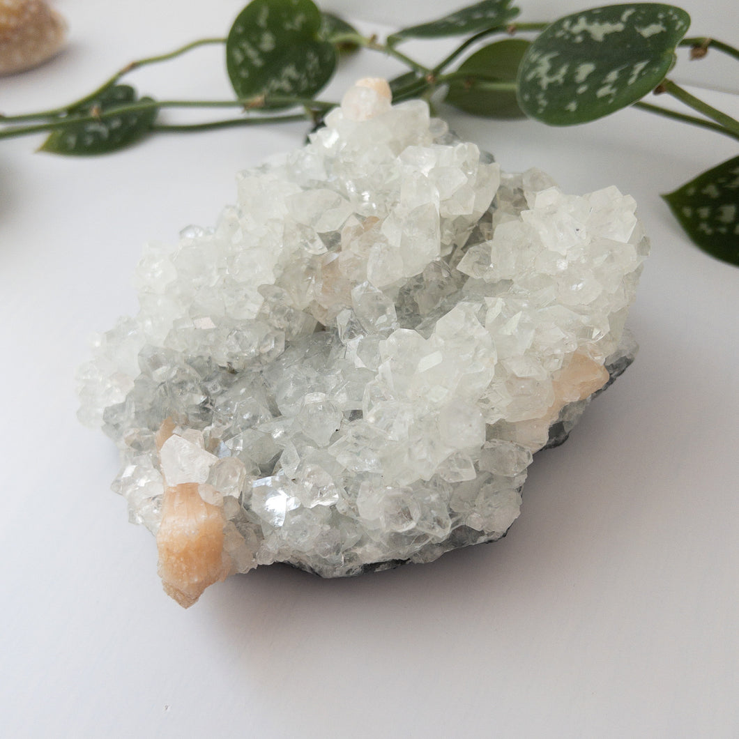 Large Apophyllite & Stilbite Specimen