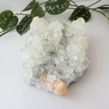 Load image into Gallery viewer, Large Apophyllite &amp; Stilbite Specimen
