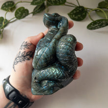 Load image into Gallery viewer, Large Labradorite Cobra
