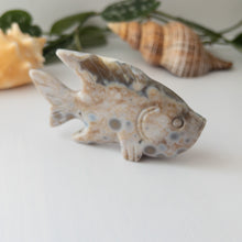 Load image into Gallery viewer, Ocean Jasper Fish H
