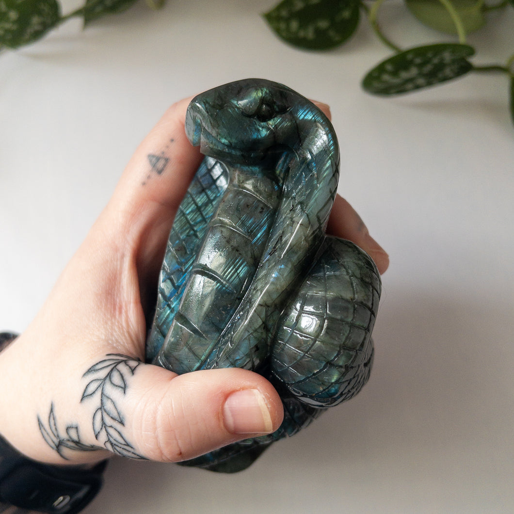 Large Labradorite Cobra