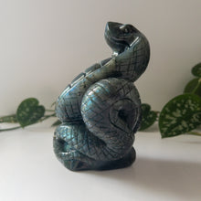 Load image into Gallery viewer, Large Labradorite Cobra
