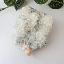 Load image into Gallery viewer, Large Apophyllite &amp; Stilbite Specimen
