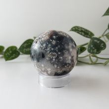 Load image into Gallery viewer, Dyed Black Flower Agate Sphere (2.54 in.)
